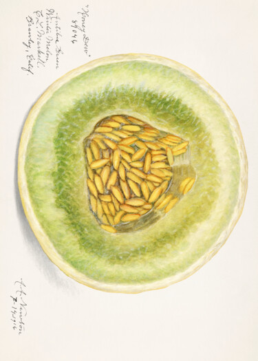 "Honeydew Melon Wate…" başlıklı Dijital Sanat 春宇 关 tarafından, Orijinal sanat, AI tarafından oluşturulan görüntü Ahşap panel…