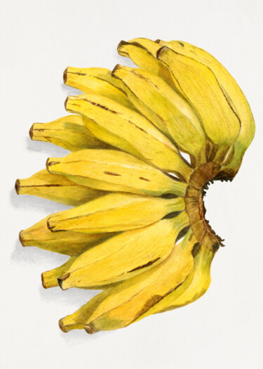 Digitale Kunst getiteld "Watercolor Painting…" door Chun Yu Guan, Origineel Kunstwerk, AI gegenereerde afbeelding Gemonteerd…