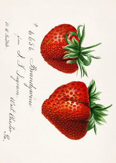 Digital Arts titled "Vintage Botanical S…" by Chun Yu Guan, Original Artwork, AI generated image Mounted on Wood Panel