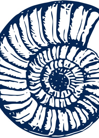 "Ammonite Fossil: Na…" başlıklı Dijital Sanat 春宇 关 tarafından, Orijinal sanat, AI tarafından oluşturulan görüntü Ahşap panel…