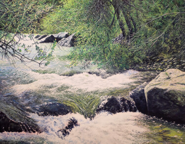 Painting titled "Murmures de la rivi…" by Farouk Bouchellouga, Original Artwork, Oil Mounted on Wood Panel