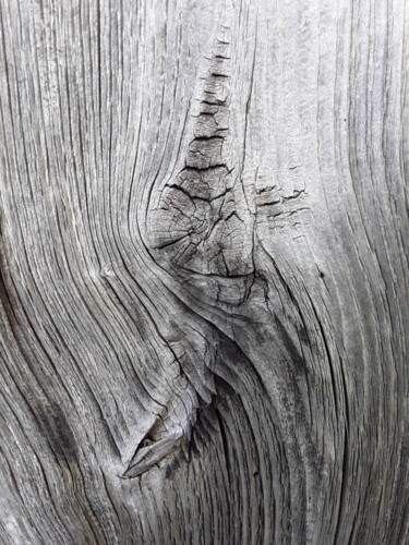 "Paréidolie" başlıklı Fotoğraf Patrick Genet tarafından, Orijinal sanat, Fotoşopsuz fotoğraf