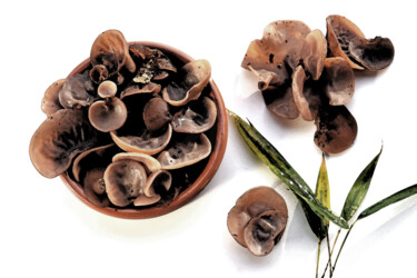 "Champignons noirs (…" başlıklı Fotoğraf Hoang Cong Minh (Minh Hoang) tarafından, Orijinal sanat, Fotoşopsuz fotoğraf
