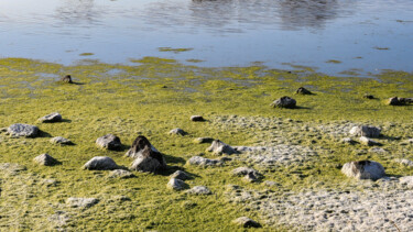 Photography titled "Petits rochers, gra…" by Bruno Bisanti, Original Artwork, Digital Photography