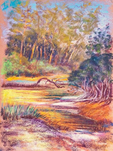 Sunset Light Over the River. Tropical Island