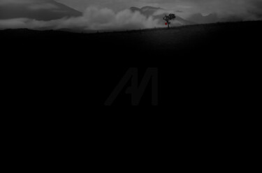 Photography titled "RESILENCE" by Andres Galan, Original Artwork, Digital Photography