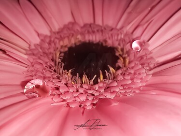 Photographie intitulée "Instant suspendu –…" par A.Dairin_artphotographie, Œuvre d'art originale, Photographie numérique