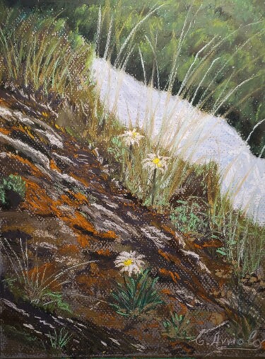 "THREE WHITE DAISIS…" başlıklı Tablo Carlos Arriola tarafından, Orijinal sanat, Pastel Diğer sert panel üzerine monte edilmiş