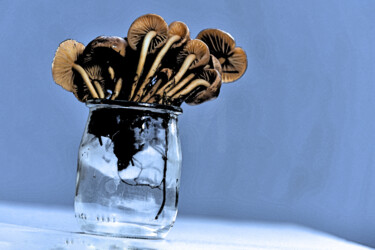 "Champignons - Bouqu…" başlıklı Fotoğraf Hoang Cong Minh (Minh Hoang) tarafından, Orijinal sanat, Fotoşopsuz fotoğraf