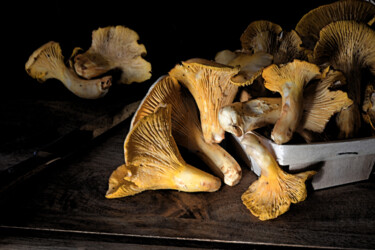 "Champignons - Plate…" başlıklı Fotoğraf Hoang Cong Minh (Minh Hoang) tarafından, Orijinal sanat, Fotoşopsuz fotoğraf