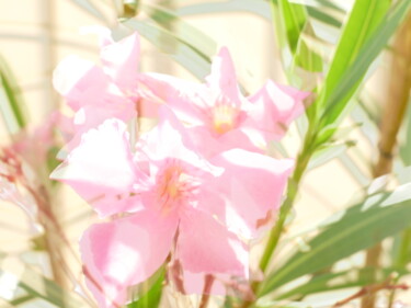 Photography titled "impression fleurs d…" by Sylvain Aubry, Original Artwork, Non Manipulated Photography