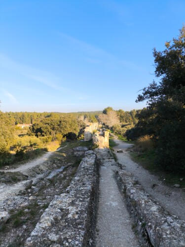 "Une réflexion" başlıklı Tablo Yann Durand tarafından, Orijinal sanat, Dijital Fotoğrafçılık