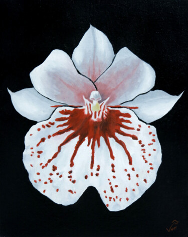 Картина под названием "Miltonia Pansy Orch…" - Von Taylor, Подлинное произведение искусства, Масло Установлен на Другая жест…