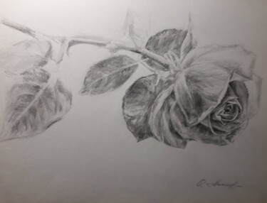 Tekening getiteld "Розовая роза" door Olga Lobova, Origineel Kunstwerk, Potlood
