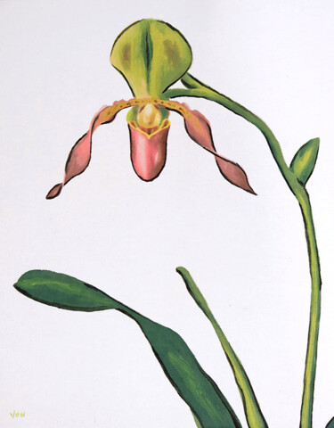 "Paphiopedilum Paph…" başlıklı Tablo Von Taylor tarafından, Orijinal sanat, Petrol Diğer sert panel üzerine monte edilmiş