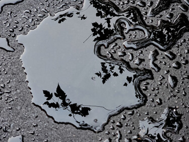 Fotografia zatytułowany „Rain is an artist.…” autorstwa Tatiana Bakumenko & Nikita Kozhemiakin, Oryginalna praca, Fotografia…