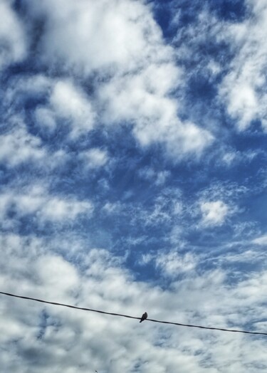 "Le petit pigeon 3" başlıklı Fotoğraf Maje Brémont tarafından, Orijinal sanat, Fotoşopsuz fotoğraf
