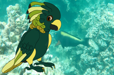 Digital Arts titled "perroquet bicolore" by Mildrède Brevet, Original Artwork, Digital Collage