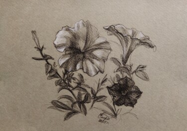 "Петунии" başlıklı Resim Елизавета Стерхова tarafından, Orijinal sanat, Karakalem