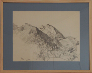 Dessin intitulée "La Béoux, Hautes-Al…" par Fabienne Blanc, Œuvre d'art originale, Crayon Monté sur Panneau de bois