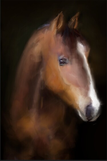 "Cheval, mon ami..." başlıklı Dijital Sanat Jacky Patin tarafından, Orijinal sanat, Dijital Resim