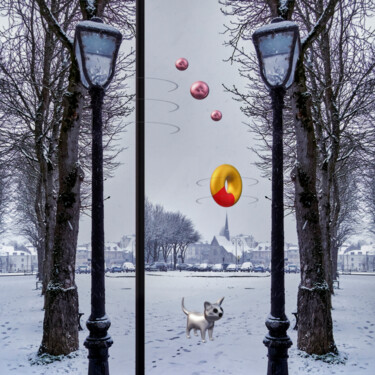 "Petit chat dans la…" başlıklı Dijital Sanat Loïc Frère tarafından, Orijinal sanat, Dijital Fotoğrafçılık Alüminyum üzerine…