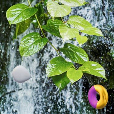 "Feuilles mouillées" başlıklı Dijital Sanat Loïc Frère tarafından, Orijinal sanat, Dijital Fotoğrafçılık Alüminyum üzerine m…