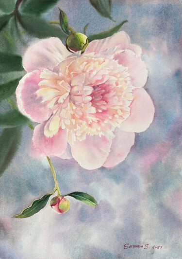 Painting titled "The delicate peony" by Svetlana Safonova, Original Artwork, Watercolor