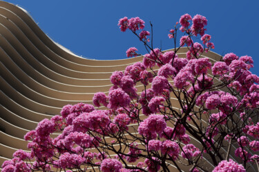 Photography titled "Niemeyer Building -…" by Martiniano Ferraz, Original Artwork, Digital Photography