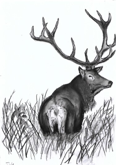 Dibujo titulada "Stag" por Patrik Podobník, Obra de arte original, Carbón