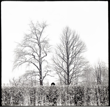 Photographie intitulée "homage" par Lelia Matic, Œuvre d'art originale, Photographie argentique