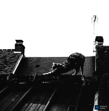 Photography titled "Yoga des toits" by Maje Brémont, Original Artwork, Non Manipulated Photography