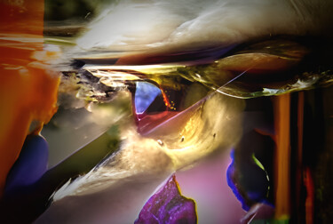 Photography titled "Different world" by Karel Jan Willem Fehr, Original Artwork, Digital Photography