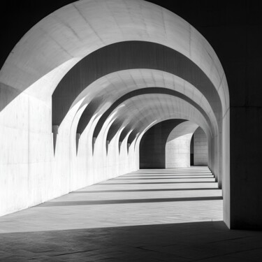 "Voyage of Forms" başlıklı Dijital Sanat Andy Ridder tarafından, Orijinal sanat, AI tarafından oluşturulan görüntü