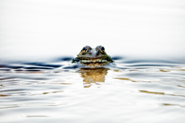 Coooa!... Tu veux quoi?