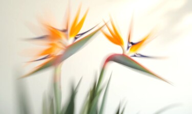 Digital Arts titled "Bird Of Paradise" by Vanda Lehel (V A N D E E), Original Artwork, AI generated image