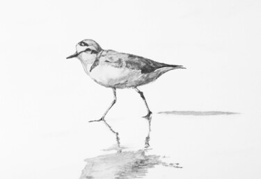 Dibujo titulada "Gravelot 1" por Guillaume Le Moal, Obra de arte original, Lápiz