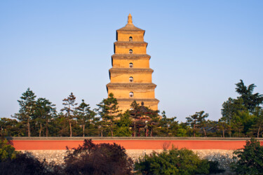 "Giant Wild Goose Pa…" başlıklı Fotoğraf Marco Renna tarafından, Orijinal sanat, Dijital Fotoğrafçılık