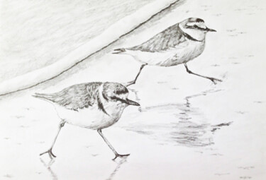 Drawing titled "Gravelots 2" by Guillaume Le Moal, Original Artwork, Pencil