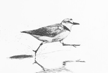 Drawing titled "Gravelot 3" by Guillaume Le Moal, Original Artwork, Pencil