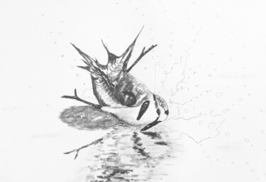 Dibujo titulada "Gravelot 4" por Guillaume Le Moal, Obra de arte original, Lápiz