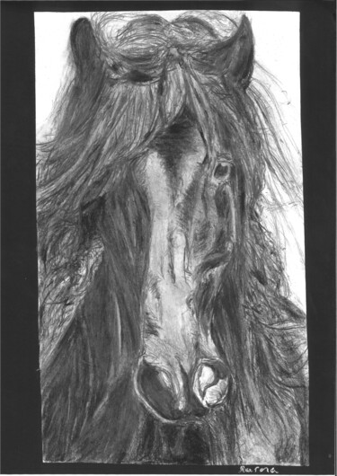 Dessin intitulée "Poussière de cendre" par Aurora, Œuvre d'art originale, Crayon