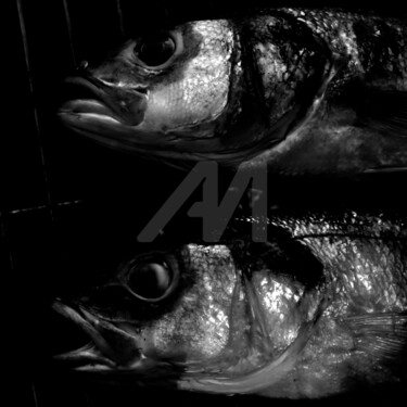 "LE BAR" başlıklı Fotoğraf Jb Photoart tarafından, Orijinal sanat, Fotoşopsuz fotoğraf Ahşap Sedye çerçevesi üzerine monte e…