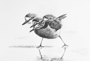 Dibujo titulada "Gravelot 7" por Guillaume Le Moal, Obra de arte original, Lápiz