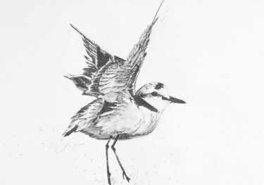 Drawing titled "Gravelot 9" by Guillaume Le Moal, Original Artwork, Pencil