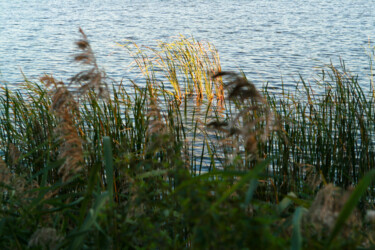 Fotografia zatytułowany „Impresyjnie o Rozto…” autorstwa Barbara Kosz, Oryginalna praca, Fotografia nie manipulowana