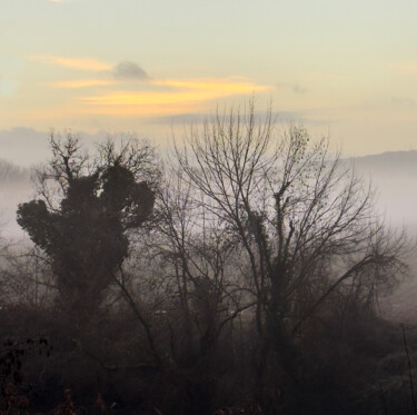 Photographie intitulée "SOUS-BOIS-PAYNE-PHI…" par Philip Payne, Œuvre d'art originale, Photographie non manipulée