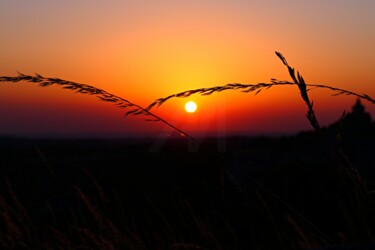 Photography titled "Sunset Silhouette w…" by M Alk, Original Artwork, Digital Photography