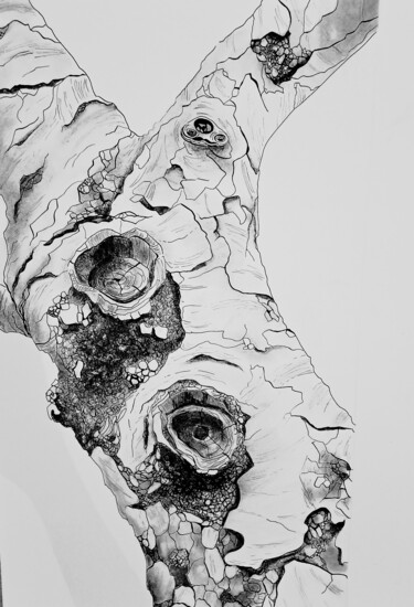 Encre de chine - Maëla