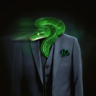 拼贴 标题为“Veleno e seta” 由Eyeroll, 原创艺术品, 拼贴